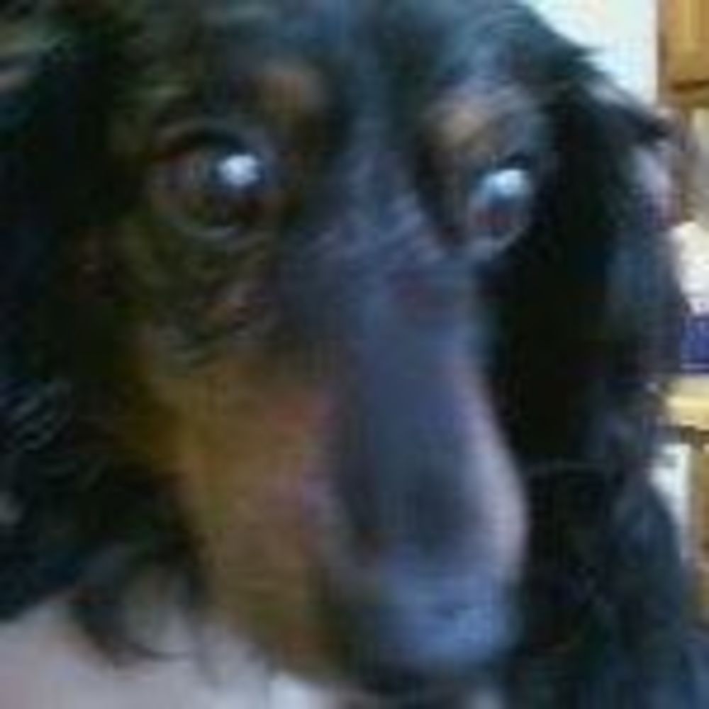 Meet your Posher, Oscar